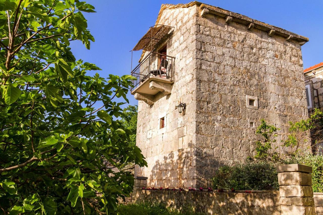 Old Small Stone House Zrnovo Luaran gambar