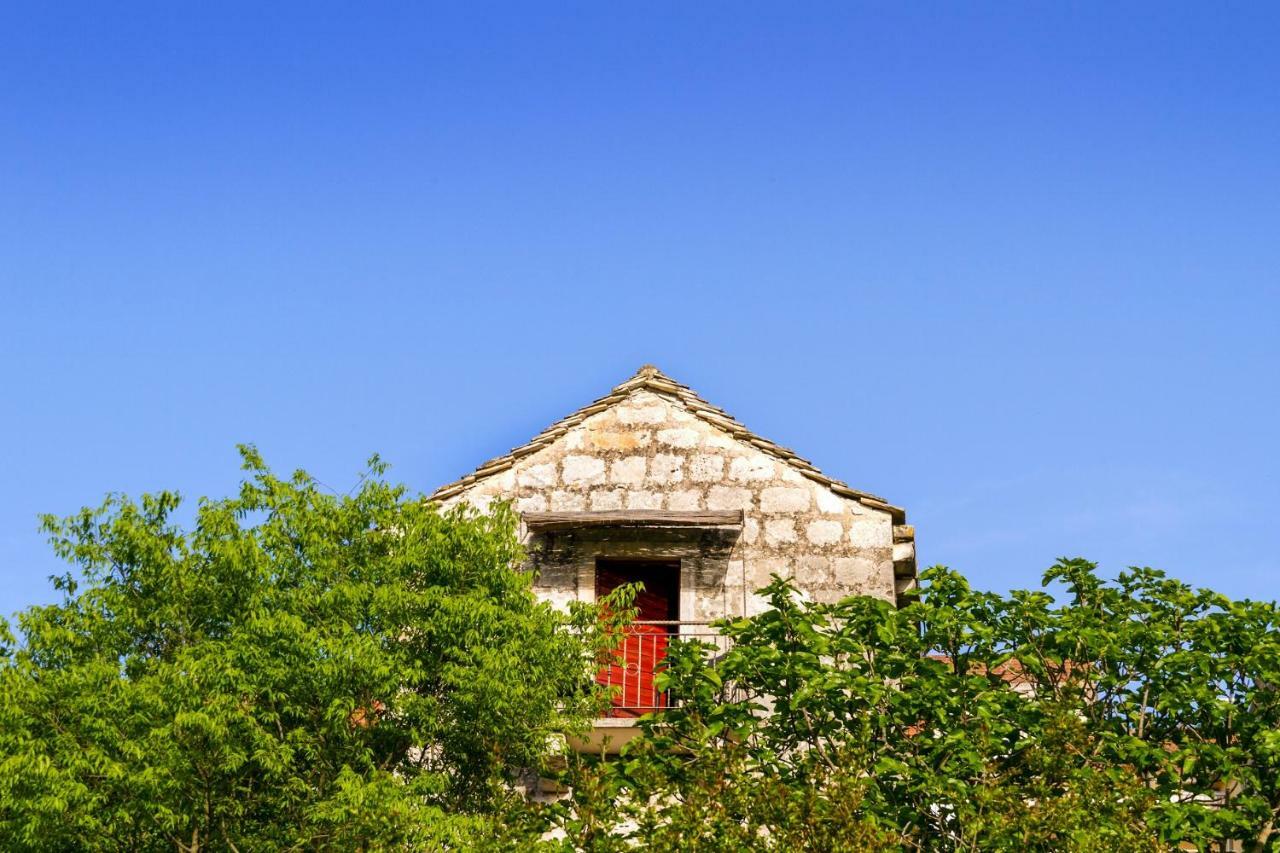 Old Small Stone House Zrnovo Luaran gambar