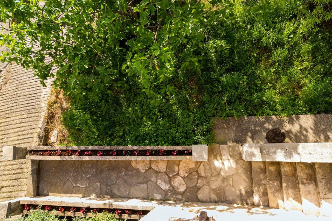 Old Small Stone House Zrnovo Luaran gambar